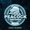 Dr. Peacock & Hyrule War - Imagination (Original Mix)