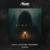 D.HASH & ILYA SECHKIN & BORDERMIND - The Riddle