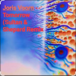 Cover Joris Voorn - Tomorrow (Sultan & Shepard Remix)