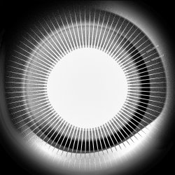 Cover Disclosure - Moonlight