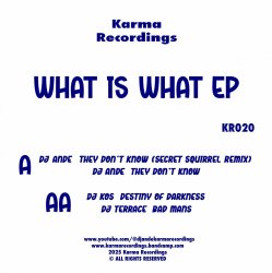 Cover DJ Ande & DJ KOS & DJ Terrace - They Don't Know (Secret Squirrel Remix)
