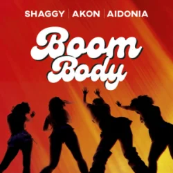 Cover Shaggy & Akon & Aidonia - Boom Body