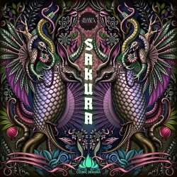Cover Cosmic Brahma - Inpsyde Me