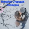 Cover Михайло Стародуб - Сніжинка Михайло Стародуб - Сніжинка