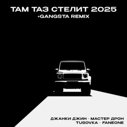 Cover Джанки Джин, Мастер Дрон, TUSOVKA, FanEOne - Там таз стелит