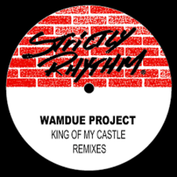 Cover Wamdue Project - King Of My Castle (Armin van Buuren Remix)