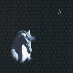 Cover Аквариум - Сокол