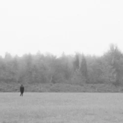 Cover EKKSTACY - i walk this earth all by myself