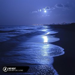 Cover Alosa, Booty Leak, Elle Blue - One Night