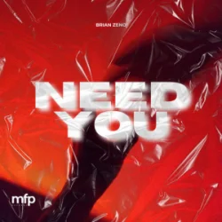 Cover Brian Zeno - Need You