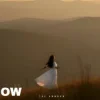 The Shadow - The lesson of love