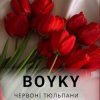 Cover Бойки - Червоні тюльпани Бойки - Червоні тюльпани