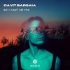 Cover Davit Barqaia - But I Can t See You Davit Barqaia - But I Can t See You