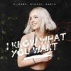Cover Mentol & Ida - When Love Takes Over Mentol & Ida - When Love Takes Over