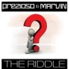 Prezioso & Marvin - The Riddle (Alternative Radio Edit Mix)
