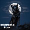 Cover BallaDonna - Волк BallaDonna - Волк
