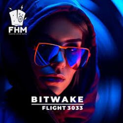 Cover Bitwake - Flight 3033