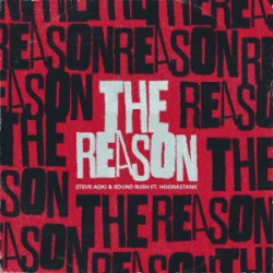 Cover Steve Aoki & Sound Rush & Hoobastank - The Reason