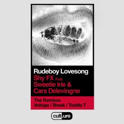 Cover Shy FX feat. Sweetie Irie and Cara Delevingne - Rudeboy Lovesong (Remixes)