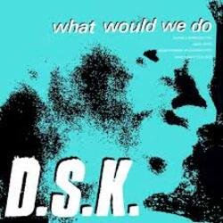 Cover DSK - What Would We Do (Original Mix)