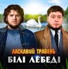 Cover ЛАСКАВИЙ ТРАВЕНЬ - Білі лебеді ЛАСКАВИЙ ТРАВЕНЬ - Білі лебеді