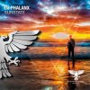 Cover DJ Phalanx - Sunstate DJ Phalanx - Sunstate