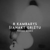 Cover 8 Kambarys - Šiąnakt Grįžtu (Froro Remix) 8 Kambarys - Šiąnakt Grįžtu (Froro Remix)