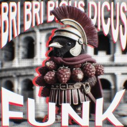 Cover DJ Rio, Oxyzenk, Pxlterror Funk - Bri Bri Bicus Dicus Funk