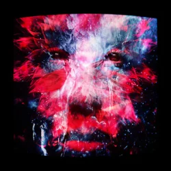 Cover PNAU & MEDUZA - Rollin