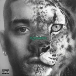 Cover ZAYN - Die For Me