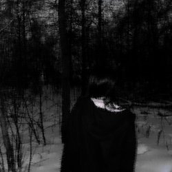 Cover DarkRezet - nightshade
