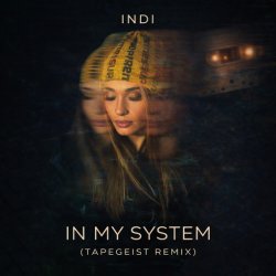 Cover INDI - In My System