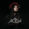 Астра - Цветы и кости