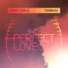 Cover Krist Van D & Terri B! - Perfect Love Krist Van D & Terri B! - Perfect Love