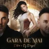 Petra & DJ Project - Gara de mai (Adrian Funk & OLiX Remix)