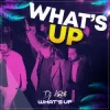 Cover DJ Kantik - What's Up DJ Kantik - What's Up