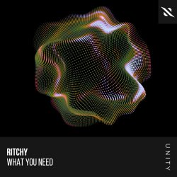 Cover Ritchy - What You Need