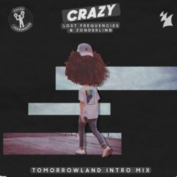 Cover Lost Frequencies & Zonderling - Crazy