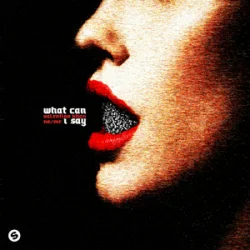 Cover Valentino Khan & No/Me - What Can I Say