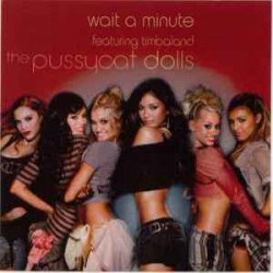 Cover Pussycat Dolls ft. Timbaland - Wait a Minute
