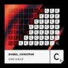 DVBBS & CHRSTPHR - One Night