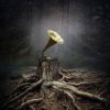 Cover Борис Гребенщиков - Растафара (Майк Науменко) Борис Гребенщиков - Растафара (Майк Науменко)