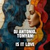 Cover Dj Antonio & TomYam - Is It Love Dj Antonio & TomYam - Is It Love