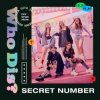 Cover SECRET NUMBER - Who Dis SECRET NUMBER - Who Dis