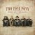 Cover Two Tone Pony - The Flood