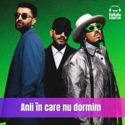 Cover Smiley & Alex Velea & Connect-R. - Anii in care nu dormim (Speak Remix)