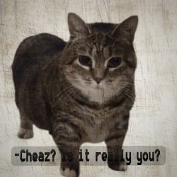 Cover DJ Cheaz - Effector