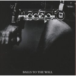 Cover Accept - Fight It Back