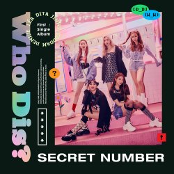 Cover SECRET NUMBER - Who Dis