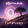 ViTaLiKuS - Гармония